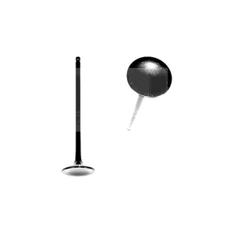 DNJ Engine Components® - Exhaust Valve