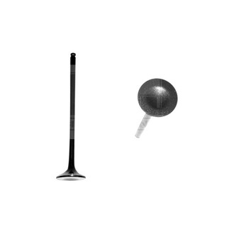 DNJ Engine Components® - Exhaust Valve