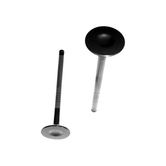 DNJ Engine Components® - Exhaust Valve