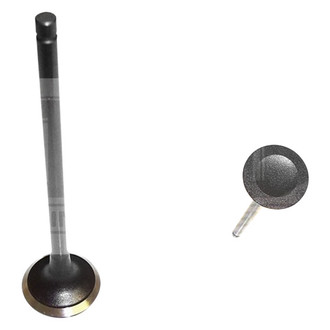 DNJ Engine Components® - Exhaust Valve