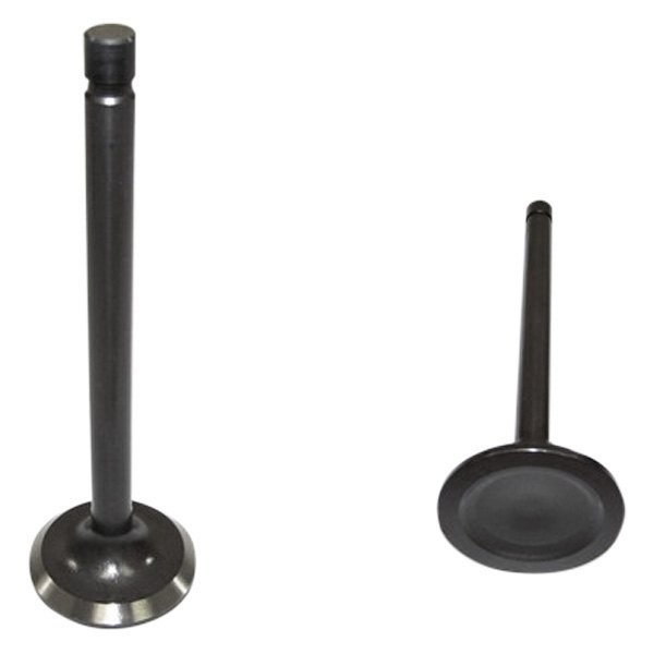 DNJ® EV3125A Exhaust Valve