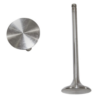 DNJ Engine Components® - Exhaust Valve