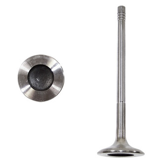 DNJ Engine Components® - Exhaust Valve