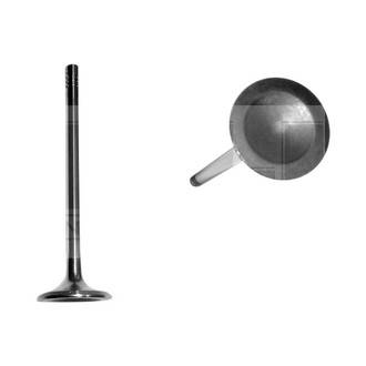 DNJ Engine Components® - Exhaust Valve