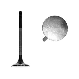 DNJ Engine Components® - Exhaust Valve
