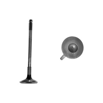 DNJ Engine Components® - Exhaust Valve
