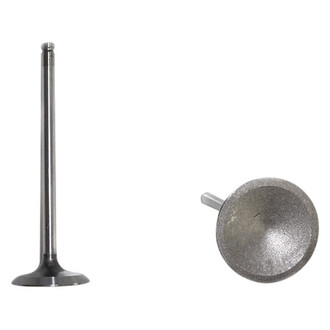 DNJ Engine Components® - Exhaust Valve