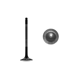 DNJ Engine Components® - Exhaust Valve