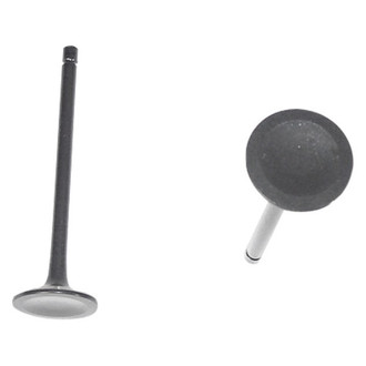 DNJ Engine Components® - Exhaust Valve