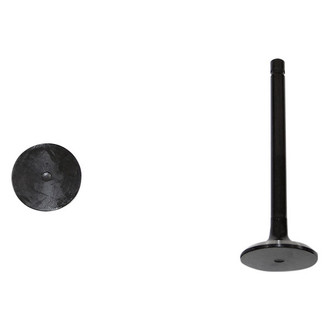 DNJ Engine Components® - Exhaust Valve