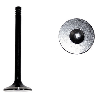 DNJ Engine Components® - Exhaust Valve