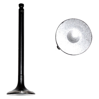 DNJ Engine Components® - Exhaust Valve