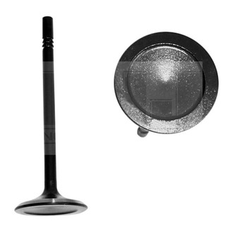 DNJ Engine Components® - Exhaust Valve