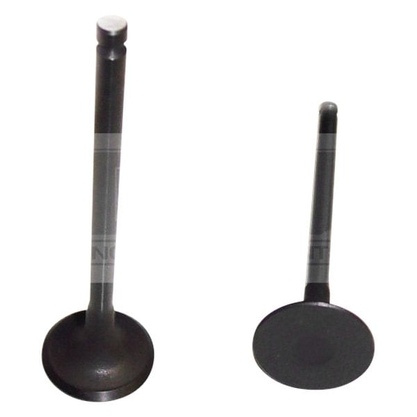 DNJ® EV430 Exhaust Valve
