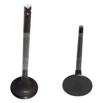 DNJ Engine Components® - Engine Valve