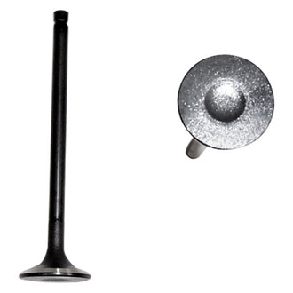 DNJ Engine Components® - Engine Valve