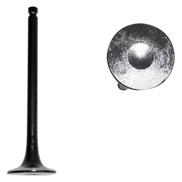 DNJ Engine Components® - Engine Exhaust Valve