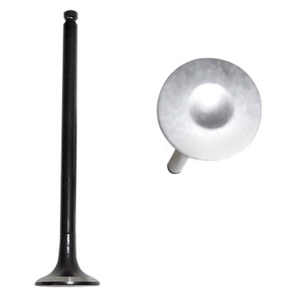 DNJ Engine Components® - Exhaust Valve
