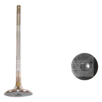 DNJ Engine Components® - Exhaust Valve