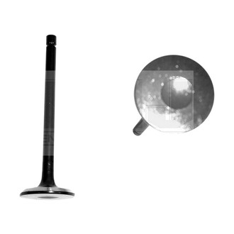 DNJ Engine Components® - Exhaust Valve