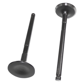 DNJ Engine Components® - Exhaust Valve