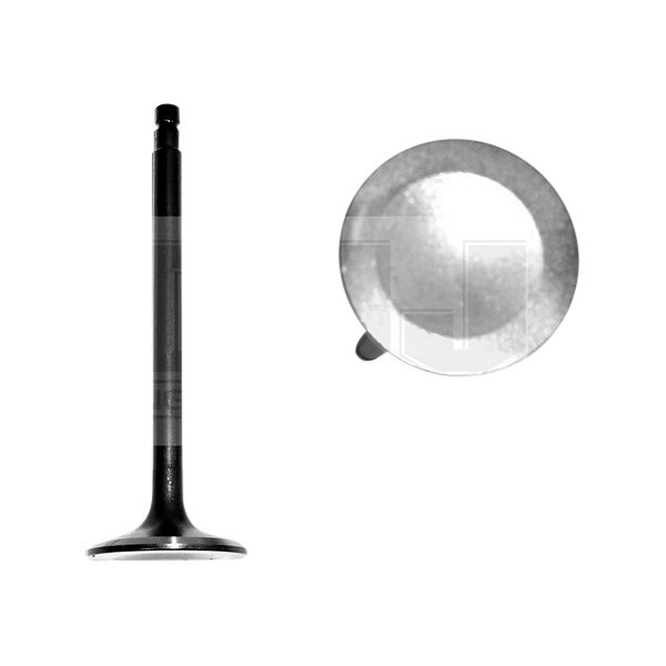 DNJ Engine Components® - Engine Exhaust Valve