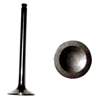 DNJ Engine Components® - Exhaust Valve