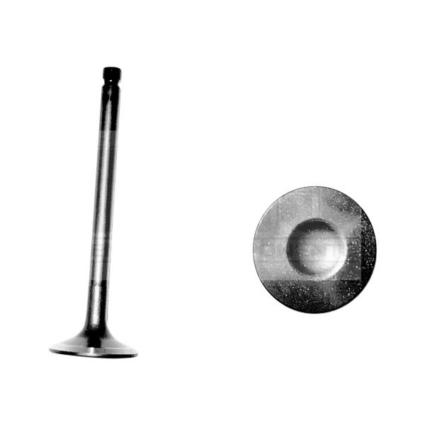 DNJ Engine Components® - Engine Exhaust Valve