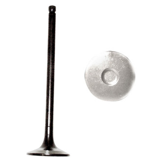 DNJ Engine Components® - Exhaust Valve