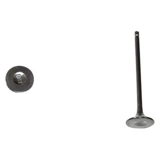 DNJ Engine Components® - Exhaust Valve