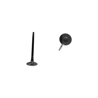 DNJ Engine Components® - Exhaust Valve