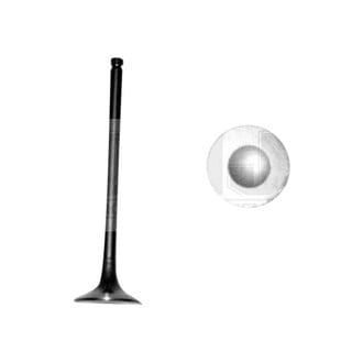 DNJ Engine Components® - Exhaust Valve