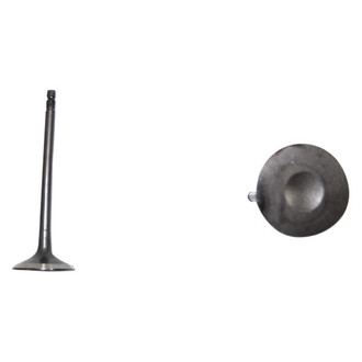 DNJ Engine Components® - Exhaust Valve