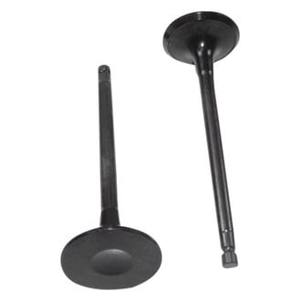 DNJ Engine Components® - Exhaust Valve