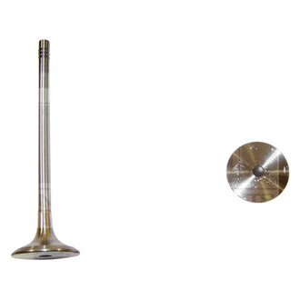 DNJ Engine Components® - Exhaust Valve