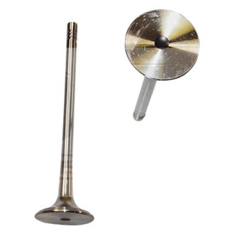 DNJ Engine Components® - Engine Valve