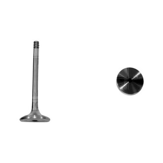 DNJ Engine Components® - Exhaust Valve