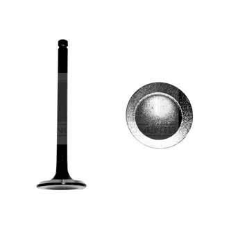 DNJ Engine Components® - Exhaust Valve