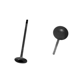 DNJ Engine Components® - Exhaust Valve