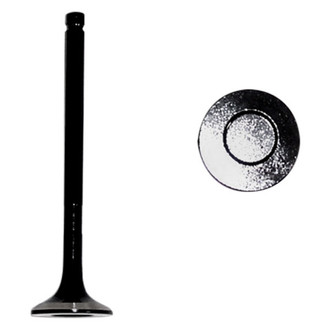DNJ Engine Components® - Engine Valve