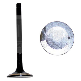 DNJ Engine Components® - Exhaust Valve