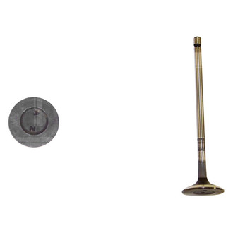 DNJ Engine Components® - Exhaust Valve
