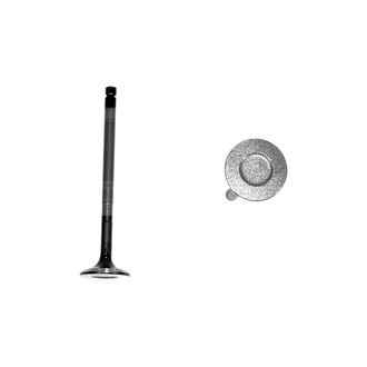DNJ Engine Components® - Exhaust Valve