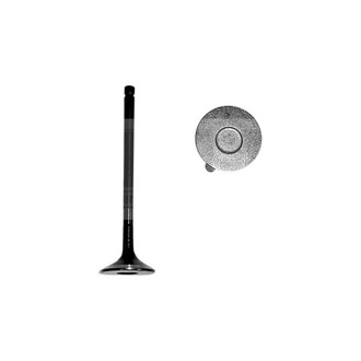 DNJ Engine Components® - Exhaust Valve