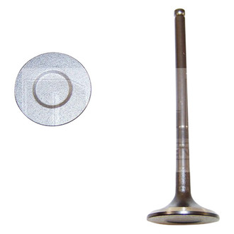 DNJ Engine Components® - Exhaust Valve