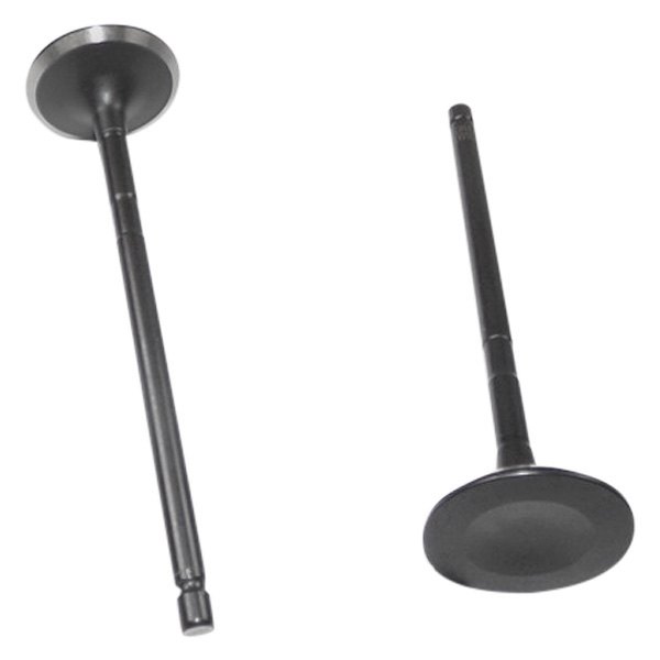 DNJ Engine Components® - Engine Exhaust Valve