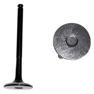 DNJ Engine Components® - Exhaust Valve