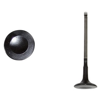 DNJ Engine Components® - Engine Valve
