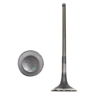 DNJ Engine Components® - Exhaust Valve
