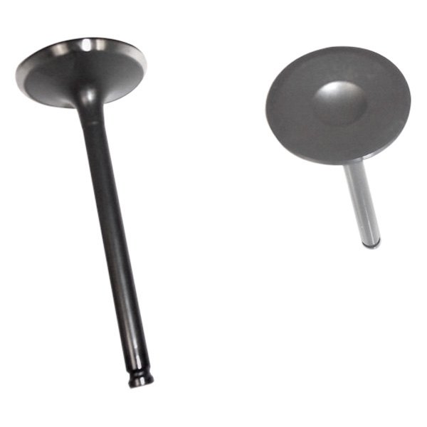 DNJ Engine Components® - Engine Intake Valve